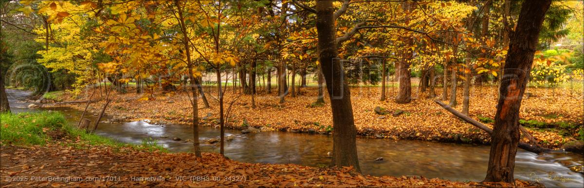 Peter Bellingham Photography Harrietville - VIC (PBH3 00 34327)